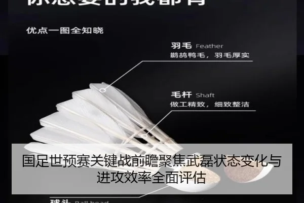 国足世预赛关键战前瞻聚焦武磊状态变化与进攻效率全面评估