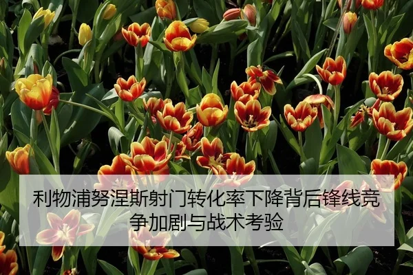 利物浦努涅斯射门转化率下降背后锋线竞争加剧与战术考验