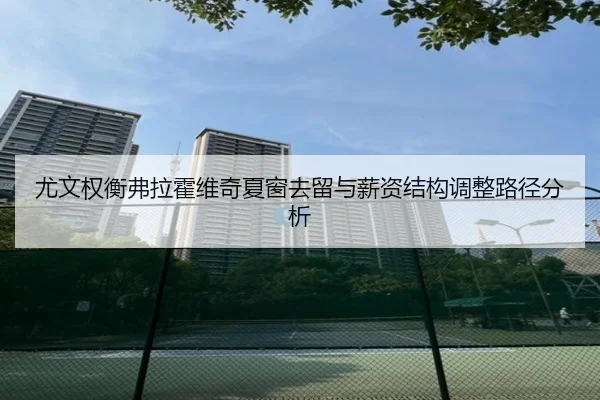 尤文权衡弗拉霍维奇夏窗去留与薪资结构调整路径分析